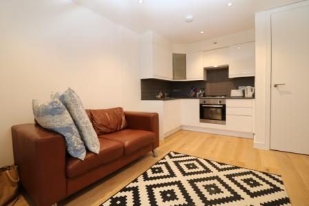 Two bedroom flat with a west facing terrace. This well presented flat in located in Finsbury Park, Islington, N4
